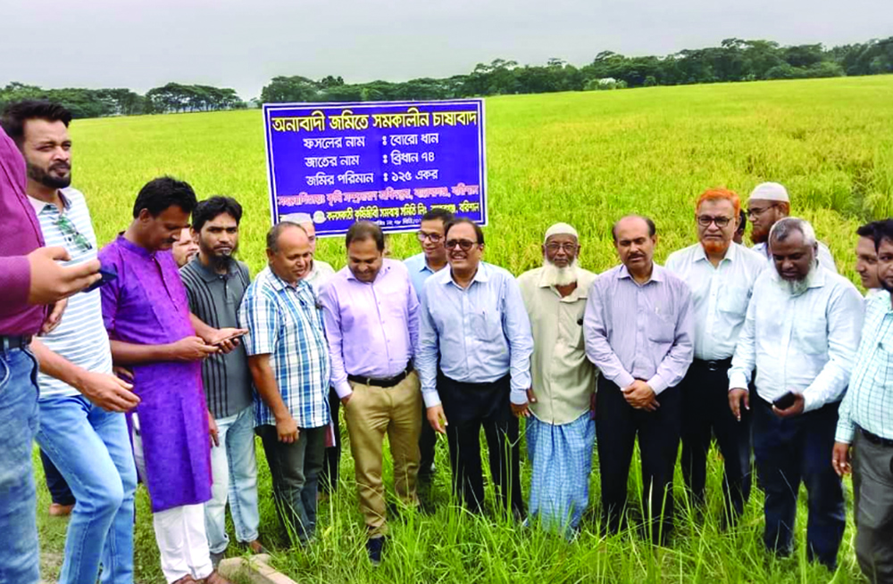 কলসকাঠী কৃষিজীবী সমবায় সমিতির উদ্যোগে ১২৫ একর অনাবাদী ও পতিত জমিতে বোরো ধানের চাষ